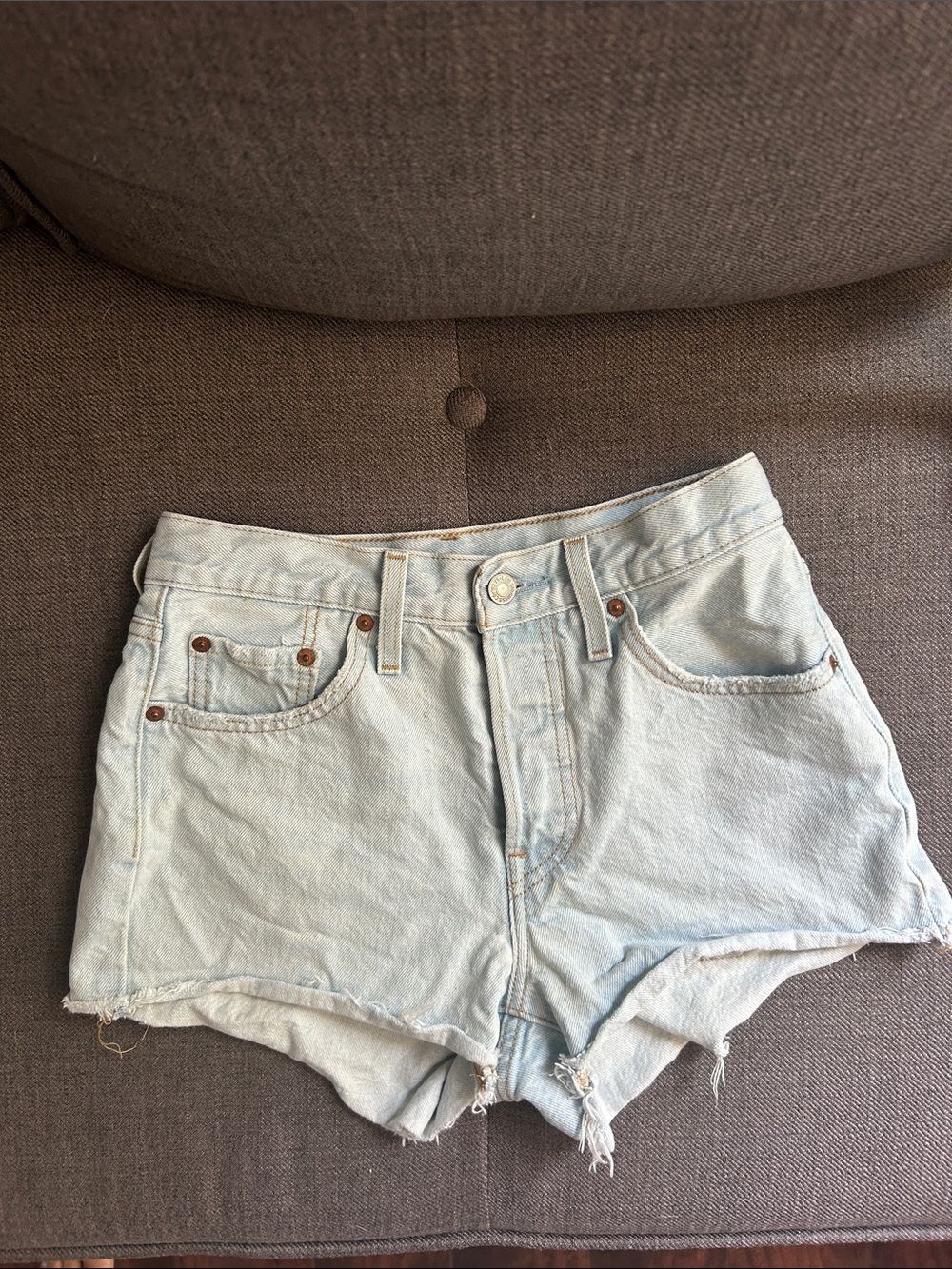 Levi’s Light Wash Denim Women's Shorts - Classic Cut